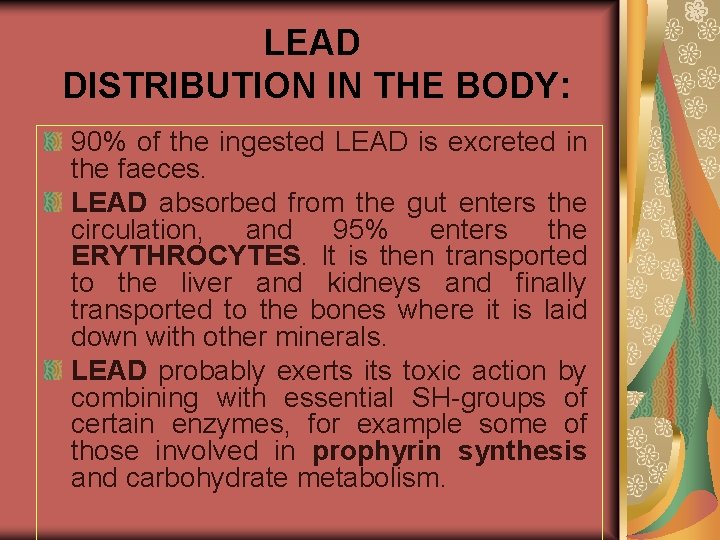 LEAD DISTRIBUTION IN THE BODY: 90% of the ingested LEAD is excreted in the