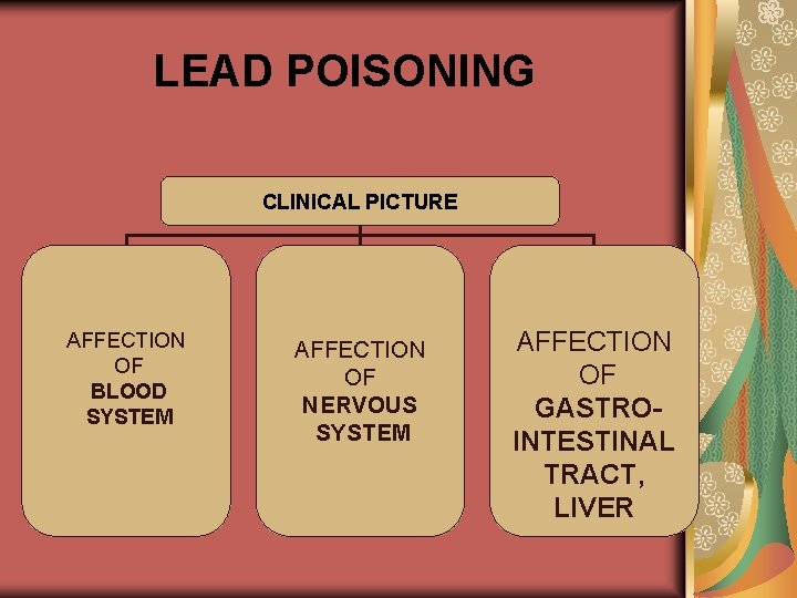 LEAD POISONING CLINICAL PICTURE AFFECTION OF BLOOD SYSTEM AFFECTION OF NERVOUS SYSTEM AFFECTION OF