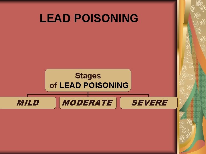 LEAD POISONING Stages of LEAD POISONING MILD MODERATE SEVERE 