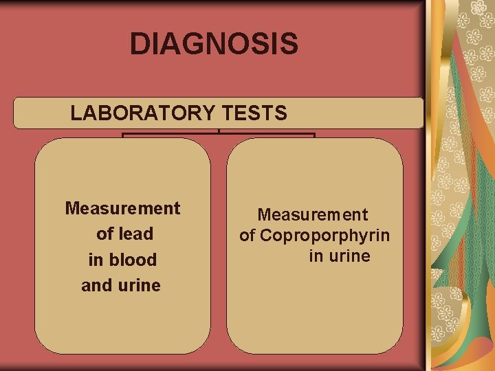 DIAGNOSIS LABORATORY TESTS Measurement of lead in blood and urine Measurement of Coproporphyrin in