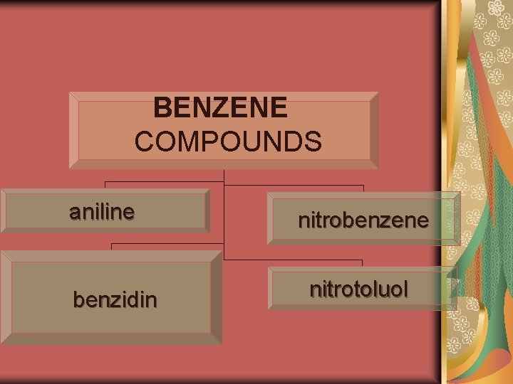 BENZENE COMPOUNDS aniline benzidin nitrobenzene nitrotoluol 