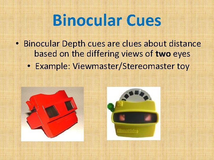 Binocular Cues • Binocular Depth cues are clues about distance based on the differing