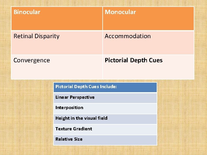 Binocular Monocular Retinal Disparity Accommodation Convergence Pictorial Depth Cues Include: Linear Perspective Interposition Height