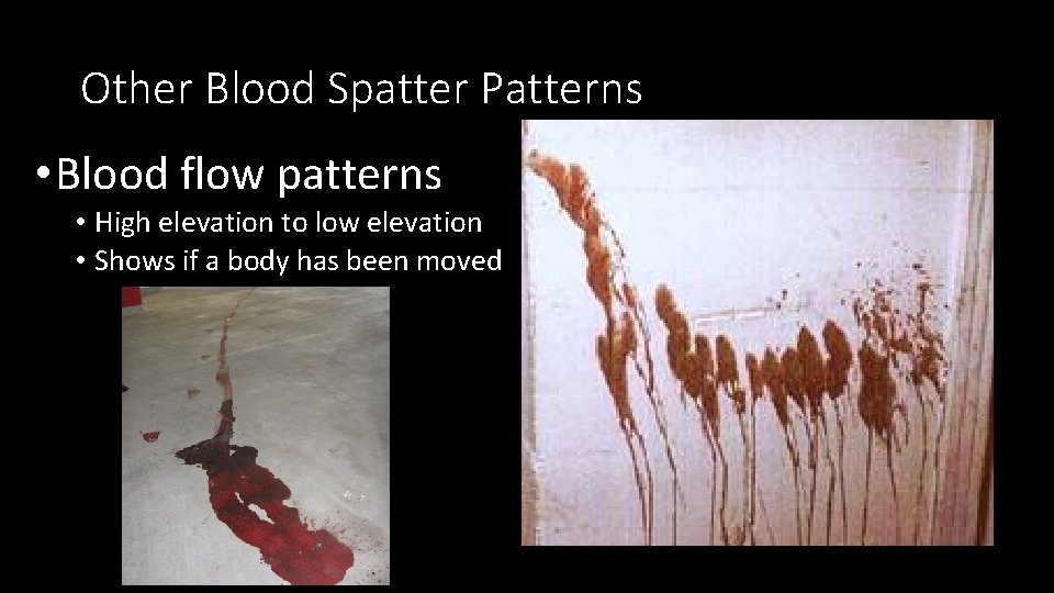 Other Blood Spatter Patterns • Blood flow patterns • High elevation to low elevation