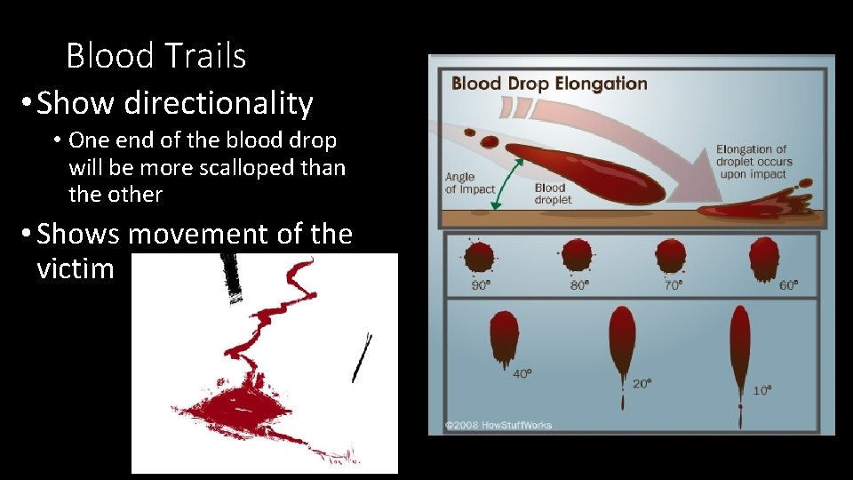Blood Trails • Show directionality • One end of the blood drop will be