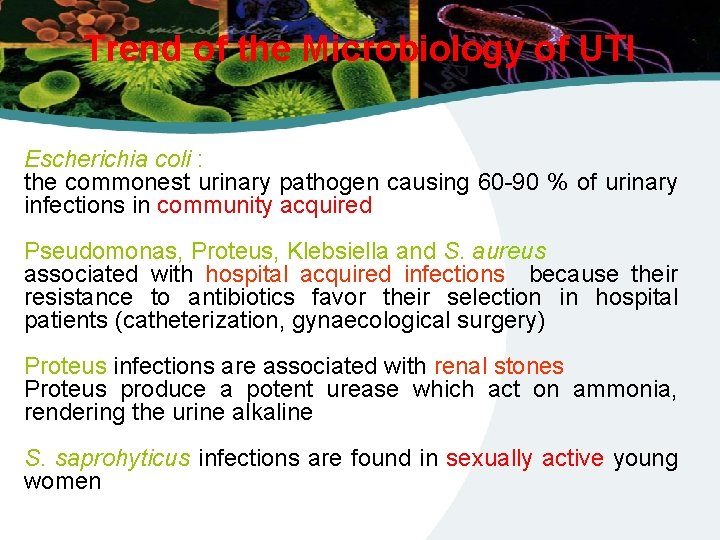 Trend of the Microbiology of UTI Escherichia coli : the commonest urinary pathogen causing