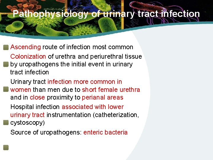 Pathophysiology of urinary tract infection Ascending route of infection most common Colonization of urethra