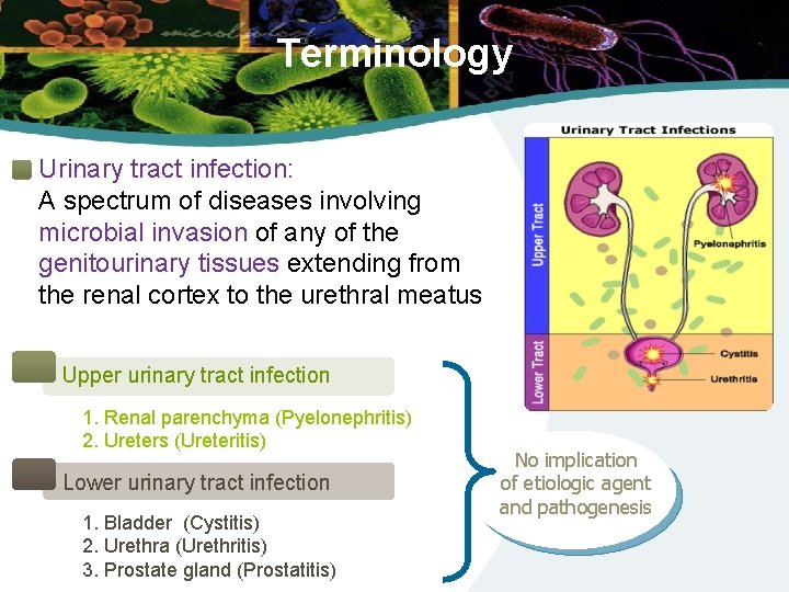 Terminology Urinary tract infection: A spectrum of diseases involving microbial invasion of any of