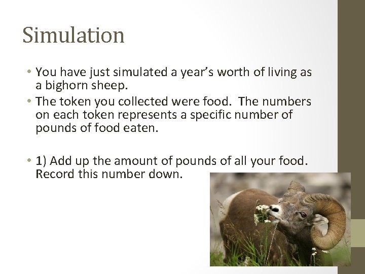 Simulation • You have just simulated a year’s worth of living as a bighorn