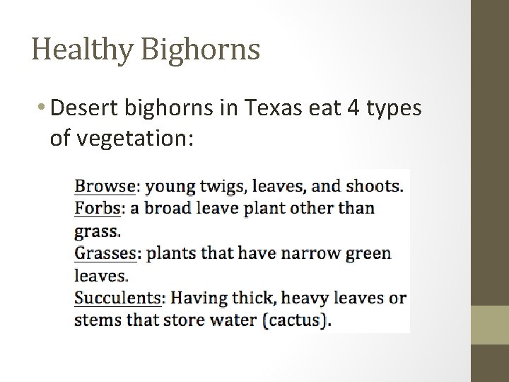 Healthy Bighorns • Desert bighorns in Texas eat 4 types of vegetation: 