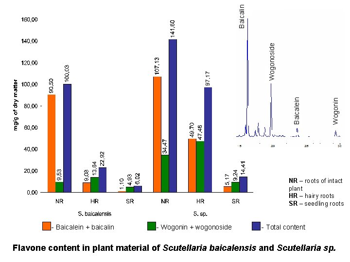 Wogonin Baicalein Wogonoside Baicalin NR – roots of intact plant HR – hairy roots