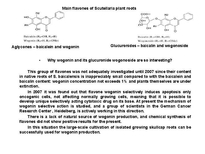 Main flavones of Scutellaria plant roots Aglycones – baicalein and wogonin • Glucuronides –