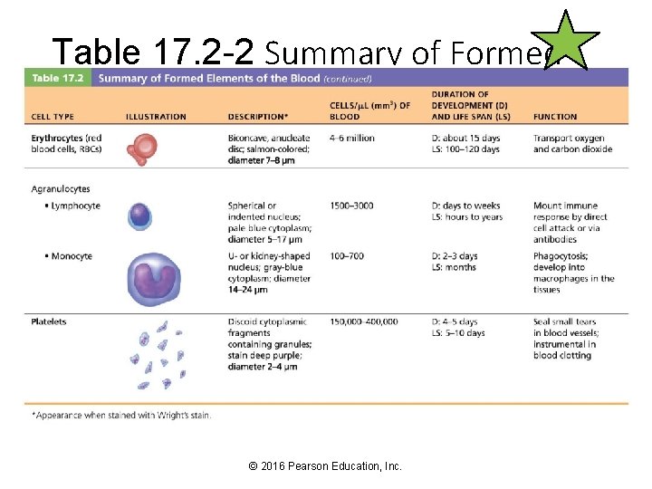 Table 17. 2 -2 Summary of Formed Elements of the Blood (continued) © 2016