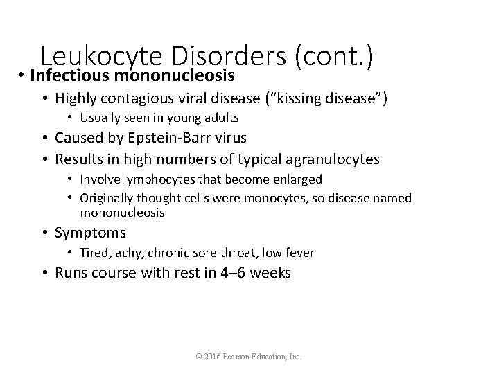 Leukocyte Disorders (cont. ) • Infectious mononucleosis • Highly contagious viral disease (“kissing disease”)
