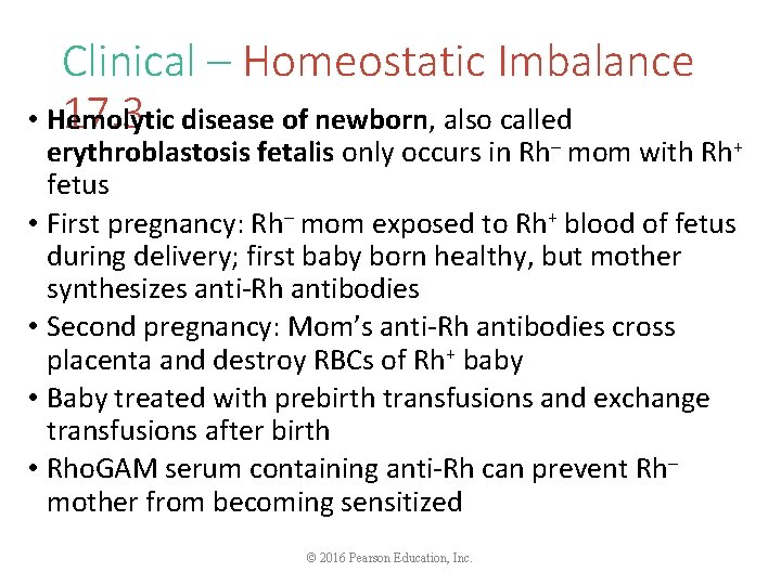 Clinical – Homeostatic Imbalance 17. 3 disease of newborn, also called • Hemolytic erythroblastosis