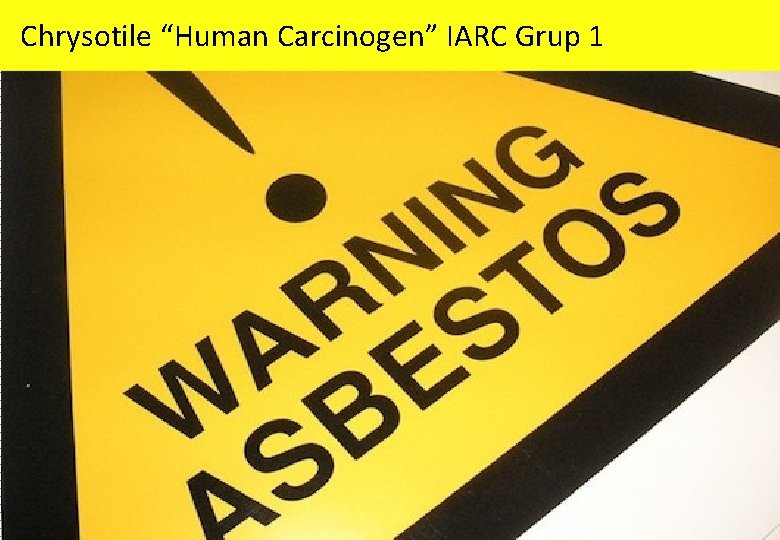 Chrysotile “Human Carcinogen” IARC Grup 1 