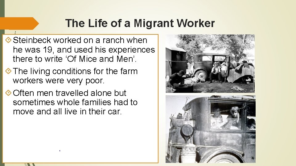 The Life of a Migrant Worker Steinbeck worked on a ranch when he was
