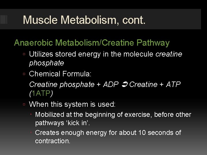 Muscle Metabolism, cont. Anaerobic Metabolism/Creatine Pathway Utilizes stored energy in the molecule creatine phosphate