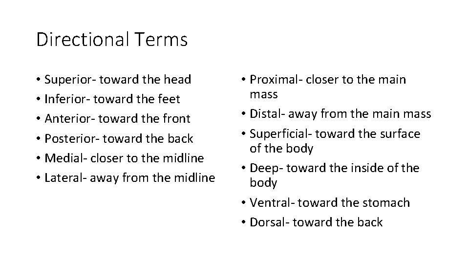 Directional Terms • Superior- toward the head • Inferior- toward the feet • Anterior-