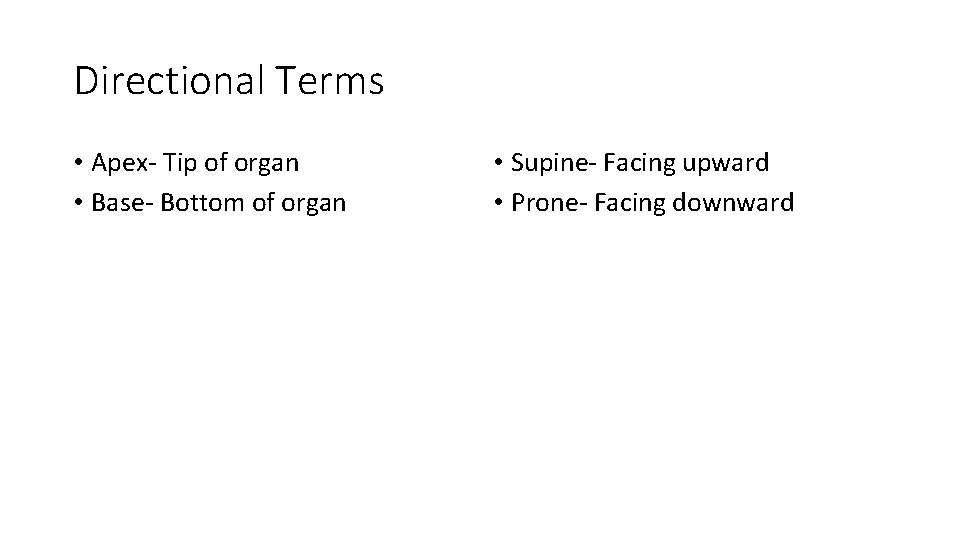Directional Terms • Apex- Tip of organ • Base- Bottom of organ • Supine-