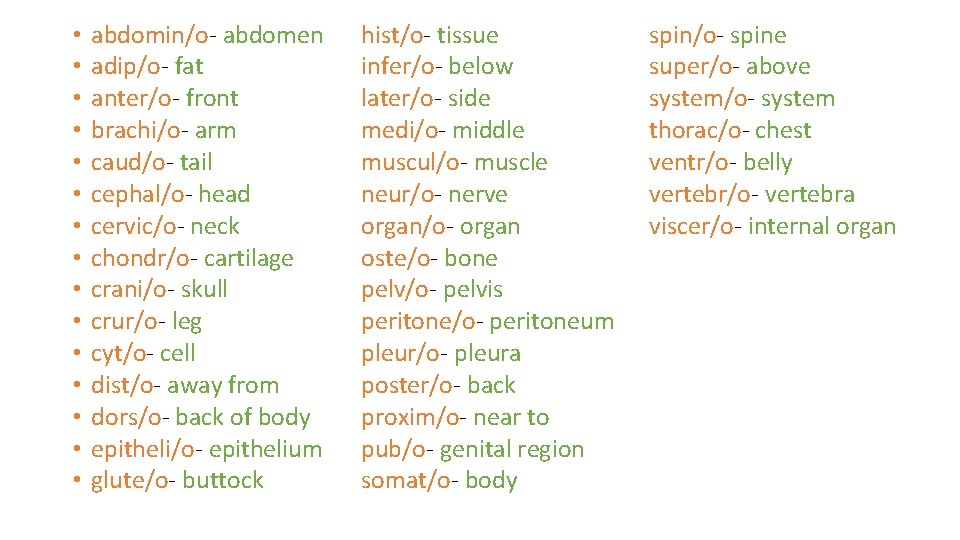  • • • • abdomin/o- abdomen adip/o- fat anter/o- front brachi/o- arm caud/o-
