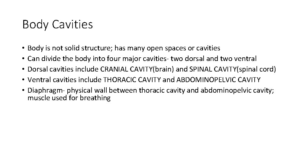 Body Cavities • • • Body is not solid structure; has many open spaces