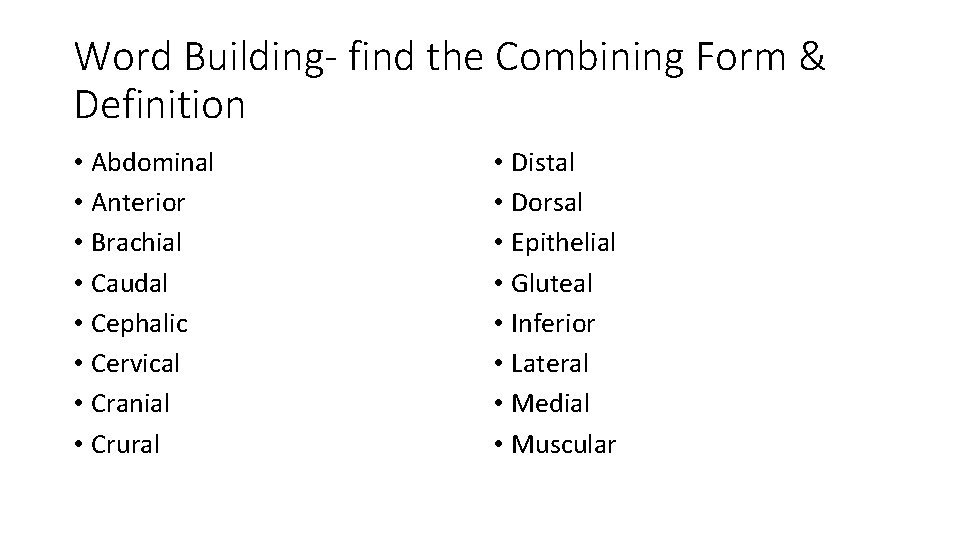 Word Building- find the Combining Form & Definition • Abdominal • Anterior • Brachial