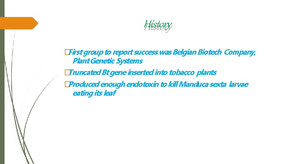 History �First group to report success was Belgian Biotech Company, Plant Genetic Systems �Truncated