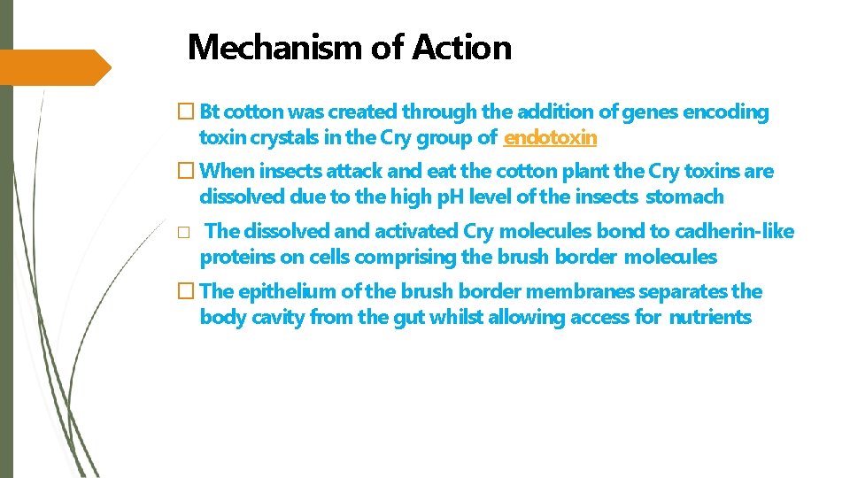 Mechanism of Action � Bt cotton was created through the addition of genes encoding