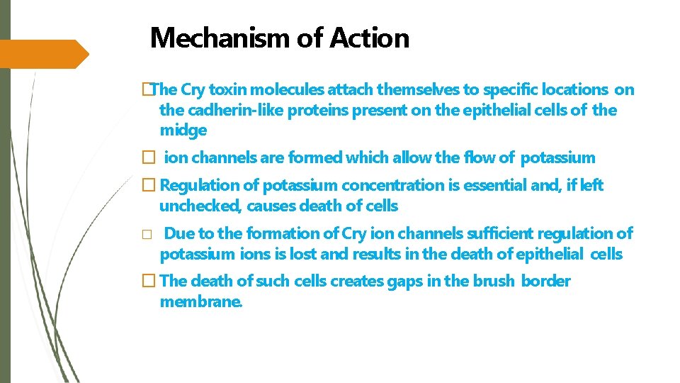 Mechanism of Action �The Cry toxin molecules attach themselves to specific locations on the