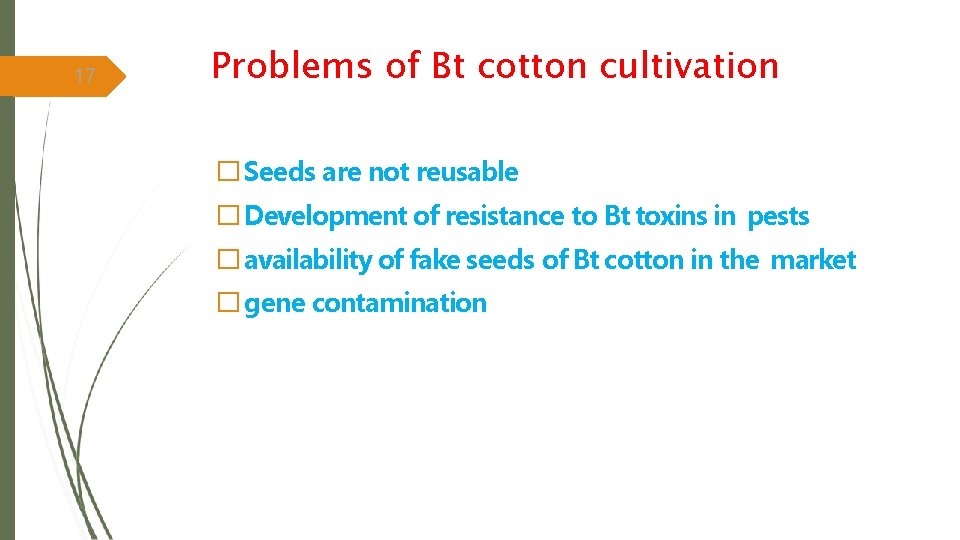 17 Problems of Bt cotton cultivation � Seeds are not reusable � Development of