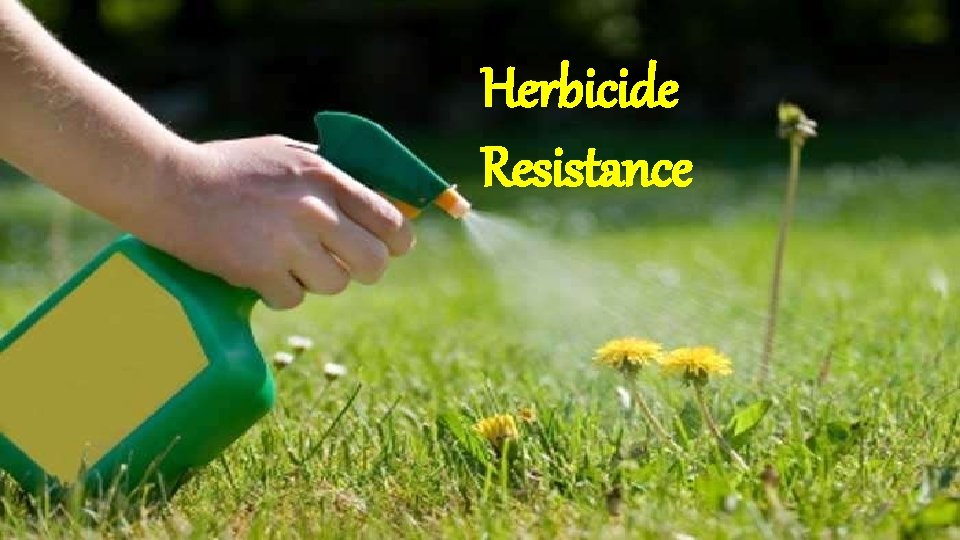 Herbicide Resistance 
