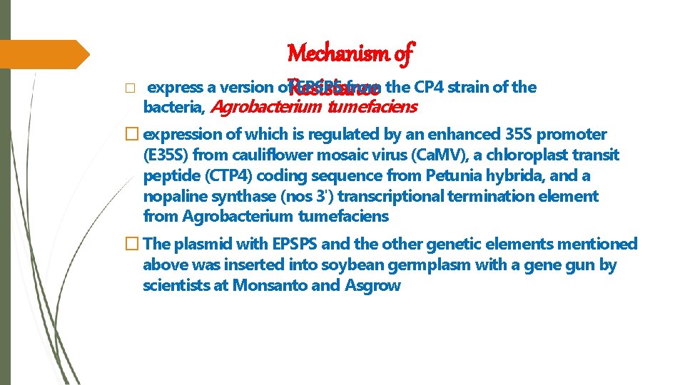 � Mechanism of express a version of. Resistance EPSPS from the CP 4 strain
