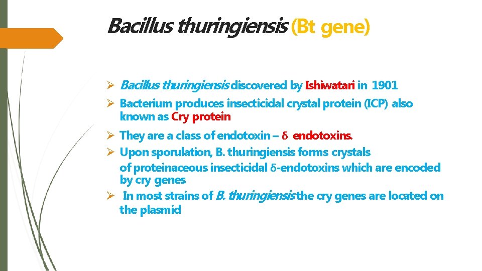 Bacillus thuringiensis (Bt gene) Bacillus thuringiensis discovered by Ishiwatari in 1901 Bacterium produces insecticidal