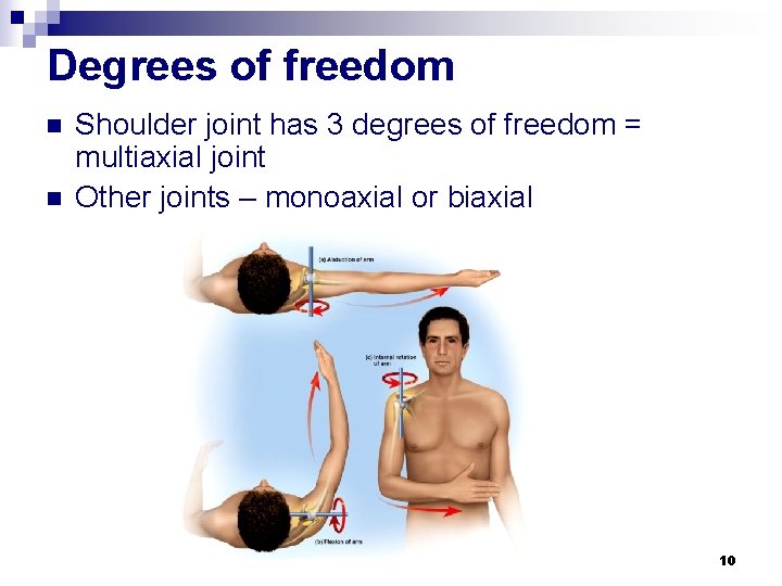 Degrees of freedom n n Shoulder joint has 3 degrees of freedom = multiaxial