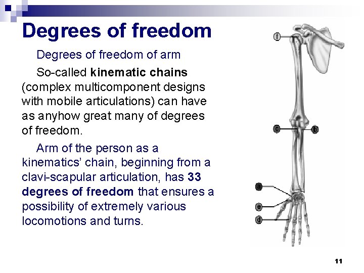 Degrees of freedom of arm So-called kinematic chains (complex multicomponent designs with mobile articulations)
