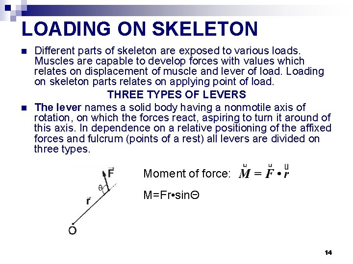 LOADING ON SKELETON n n Different parts of skeleton are exposed to various loads.