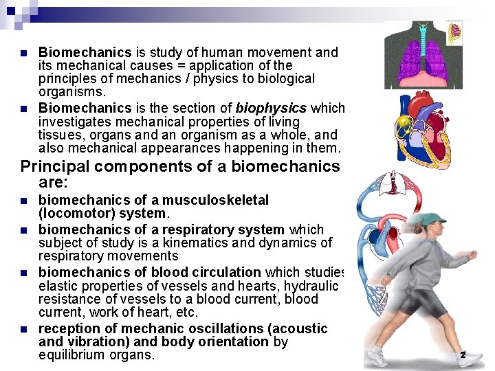 n n BIOMECHANICS. IT AREAS Biomechanics is study of human movement and its mechanical