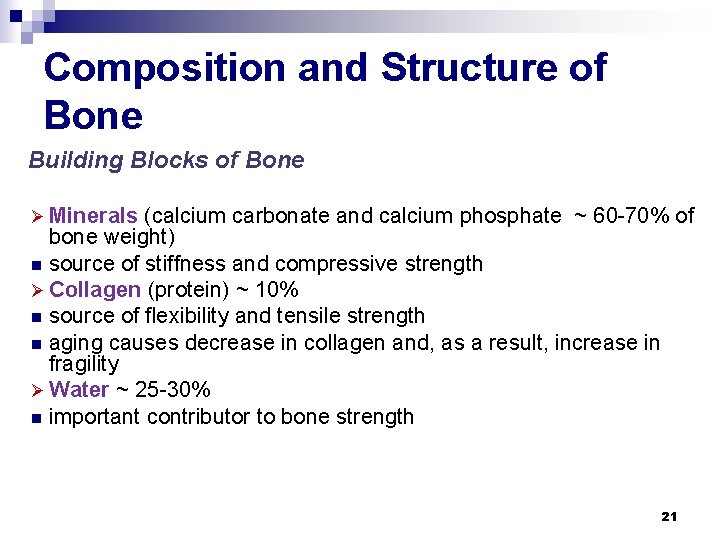Composition and Structure of Bone Building Blocks of Bone Ø Minerals (calcium carbonate and