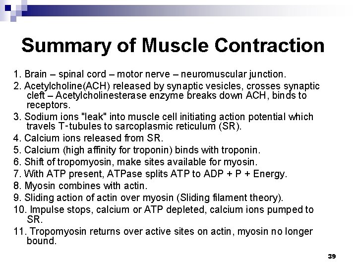 Summary of Muscle Contraction 1. Brain – spinal cord – motor nerve – neuromuscular