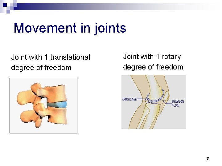 Movement in joints Joint with 1 translational degree of freedom Joint with 1 rotary