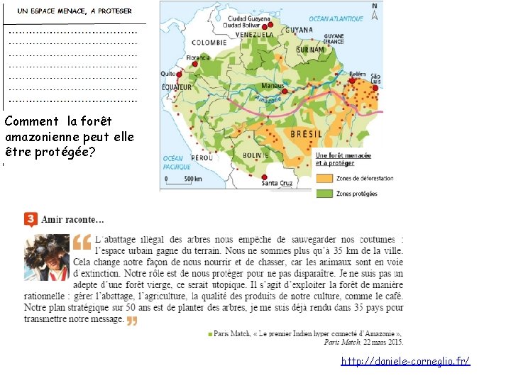Comment la forêt amazonienne peut elle être protégée? http: //daniele-corneglio. fr/ 