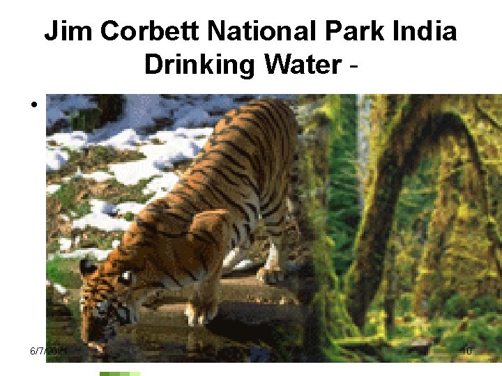 Jim Corbett National Park India Drinking Water • 6/7/2021 10 
