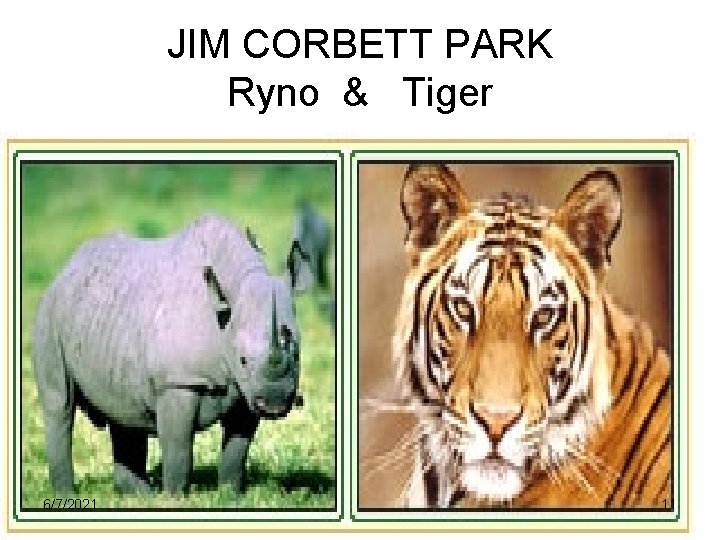 JIM CORBETT PARK Ryno & Tiger 6/7/2021 11 