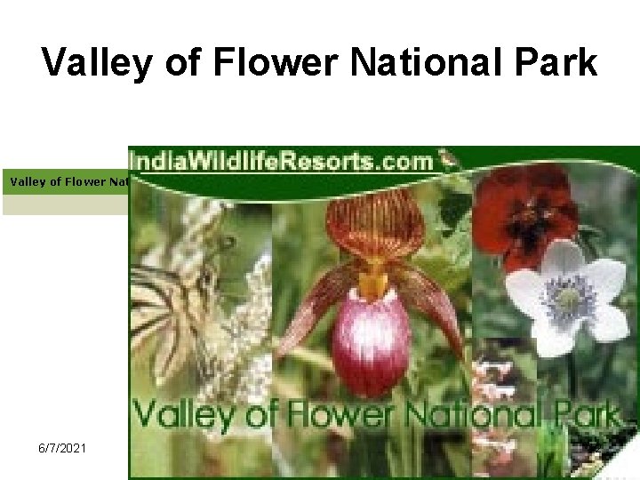 Valley of Flower National Park provides information on. Valley of Flower National Park, indian