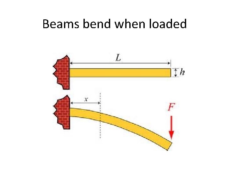 Beams bend when loaded 