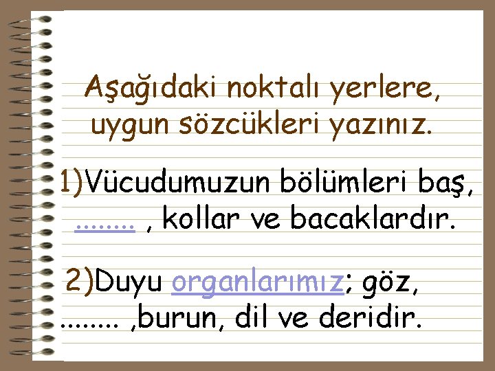 Aşağıdaki noktalı yerlere, uygun sözcükleri yazınız. 1)Vücudumuzun bölümleri baş, . . . . ,