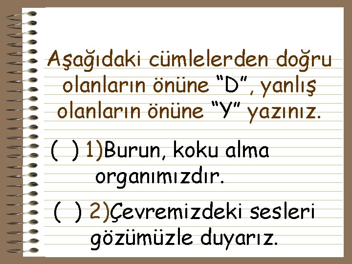 Aşağıdaki cümlelerden doğru olanların önüne “D”, yanlış olanların önüne “Y” yazınız. ( ) 1)Burun,