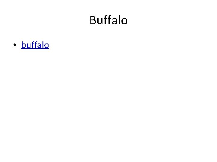 Buffalo • buffalo 