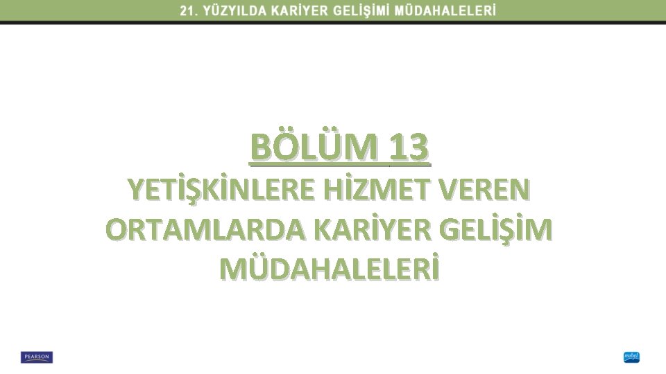 BÖLÜM 13 YETİŞKİNLERE HİZMET VEREN ORTAMLARDA KARİYER GELİŞİM MÜDAHALELERİ 